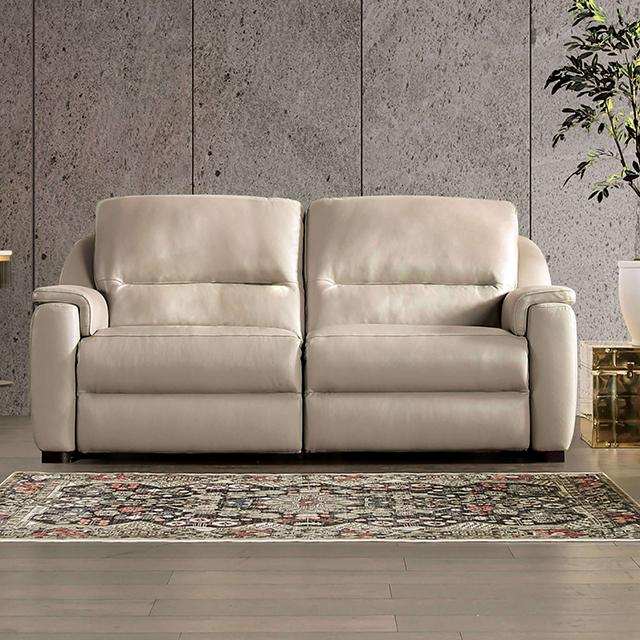 ALTAMURA Power Loveseat, Taupe image